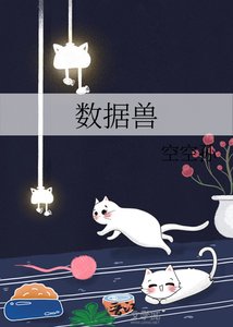《数据兽》